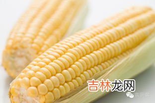 玉米胚芽粉能减肥吗,玉米胚芽粉固体饮料一天喝几袋