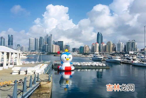 青岛属于哪个省,青岛属于哪个省