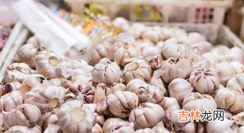 大蒜发芽怎么办怎么保存,大蒜发芽后的存放方法 如何保存大蒜