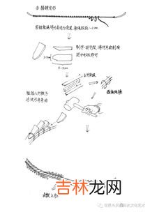 人生命由哪三个因素构成,人的生命是什么组成的