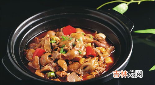 肥肠煲的做法,肥肠怎么炖好吃