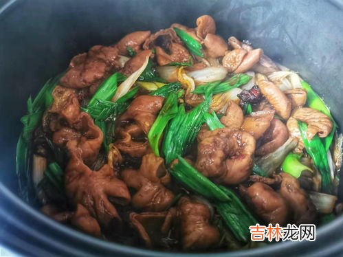 肥肠煲的做法,肥肠怎么炖好吃
