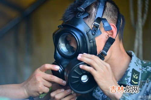 防毒面具是根据什么动物发明的,人类是怎么从猪的的身上发明防毒面具