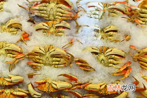 熟螃蟹冷冻保存多久,煮熟的螃蟹放冰箱冷冻能放多久