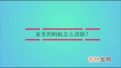 家里有蚂蚁怎么办能除根吗,家里有蚂蚁,用干燥剂里的石灰能除根吗?