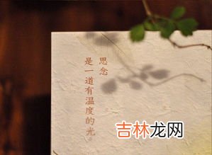 思念的象征物,象征思念的花