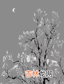 思念的象征物,象征思念的花