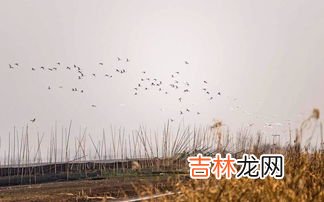 冬天到几月份结束,冬天的开始和结束日期是什么