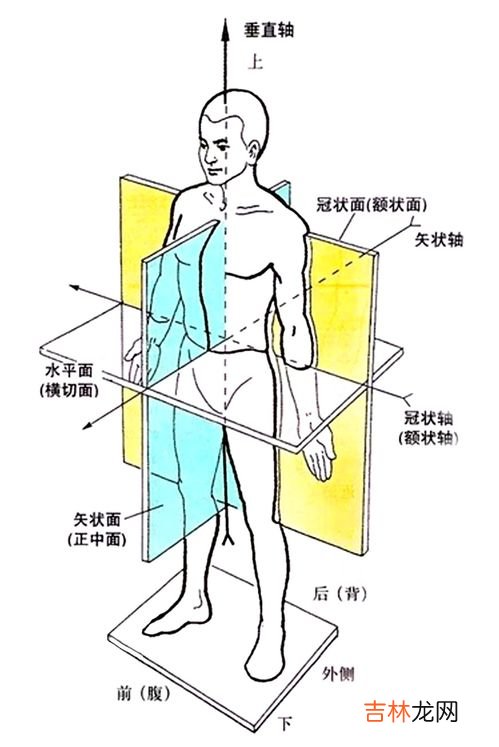 什么是顺时针什么是逆时针,什么是顺时针方向.什么是逆时针的方向.