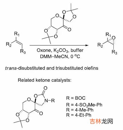 酚羟基为什么不能氧化,羟基为何能发生氧化反应