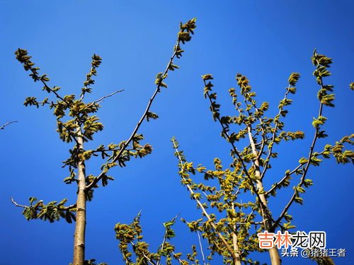 再过一个月,在过一个月最火的歌曲叫什么名字