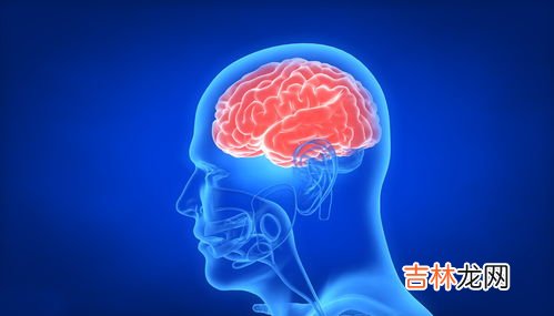 正常人为什么会有濒死感,濒临死亡有什么感觉吗？