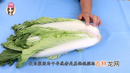 白菜上有小黑点能吃吗,白菜上有小黑点能吃吗 是怎么回事