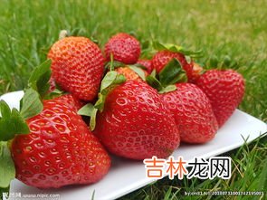 草莓打药多吗,大棚草莓农药激素很多吗?