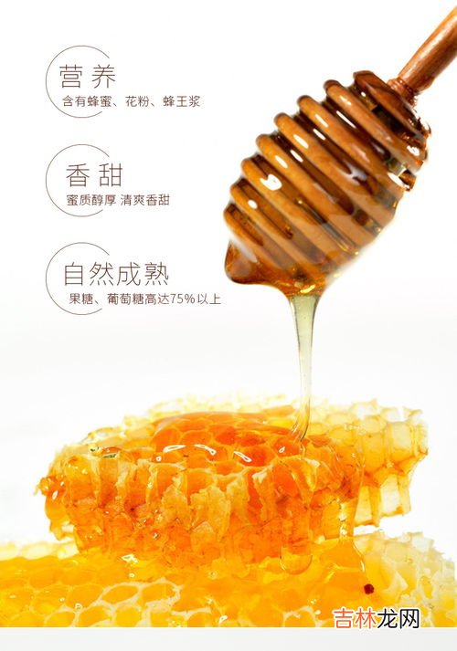 益母草蜂蜜的功效与作用,益母草蜜怎么吃