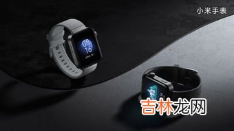 小米运动健康手表详解：运动健康轻松管理,小米运动手表的使用教程