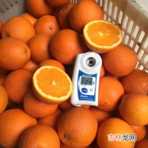 脐橙的储存和保鲜方法,脐橙怎么保存才不会坏
