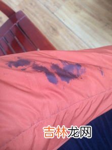 笔油弄到衣服上怎么洗,衣服沾上了油性笔墨水,该怎么清洗?