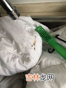 笔油弄到衣服上怎么洗,衣服沾上了油性笔墨水，该怎么清洗？