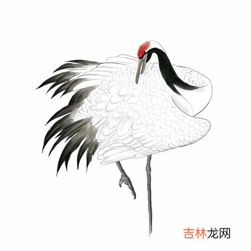 丹顶鹤的丹顶指的是什么,古人常说的奇毒“鹤顶红”, 是什么做成的?