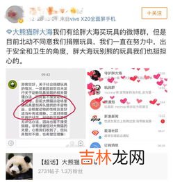 粉丝是什么意思,什么叫粉丝 粉丝的意思
