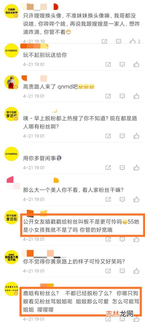 粉丝是什么意思,什么叫粉丝 粉丝的意思