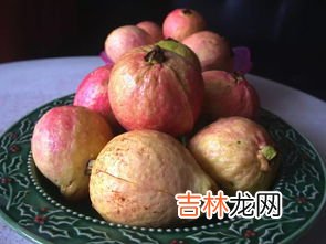 蕃石榴怎么吃,番石榴怎么吃？