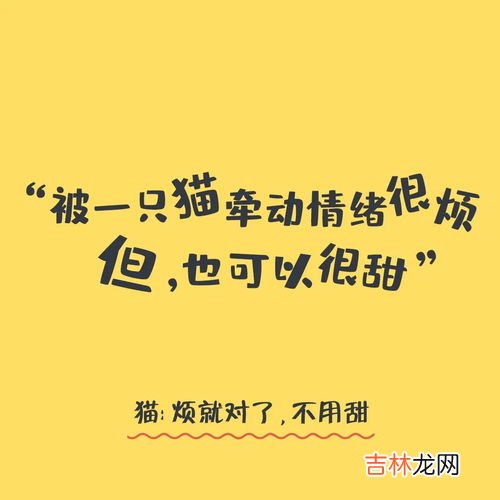 交朋友的经典语录,交友的经典名言警句