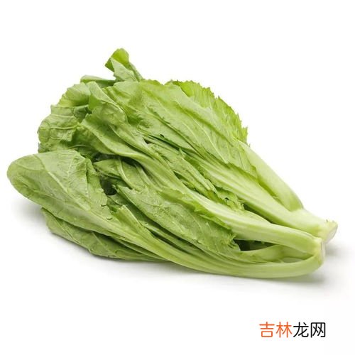 芥菜怎么腌,腌芥菜怎么做？