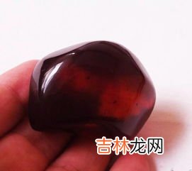 血珀是什么,血柏树是什么树
