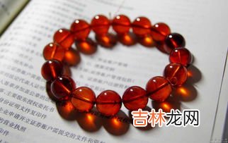 血珀是什么,血柏树是什么树