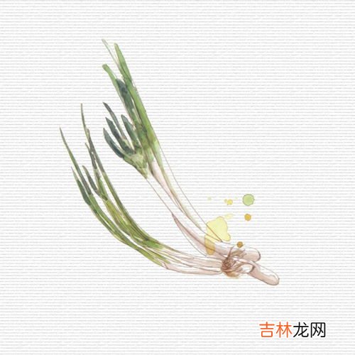 葱白的功效与作用,葱的功效与作用是什么？