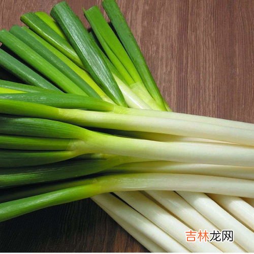 葱白的功效与作用,葱的功效与作用是什么？