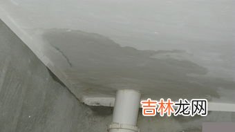 厕所为什么会堵,厕所爱堵是什么情况