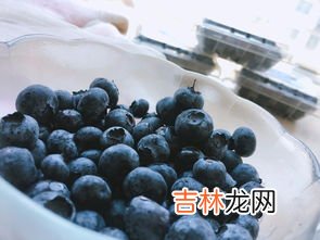 蓝莓怎么吃是正确的方法,蓝莓怎么吃是正确的方法