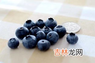 蓝莓怎么吃是正确的方法,蓝莓怎么吃是正确的方法