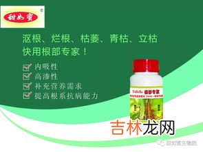 仁德康泰白蛋白肽有没有功效,白蛋白多肽粉是什么东西