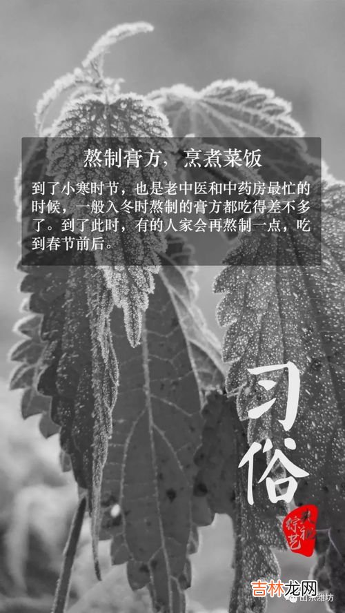 小寒习俗,小寒有什么风俗活动