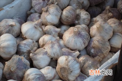 想买到一把无惧大蒜的刀,张小泉菜刀拍一下蒜就断了?客服是如何回应这件事的?