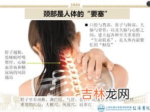 脖子短怎么变长,脖子短怎么办