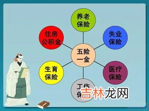 五险是哪五险,五险是哪五险一金