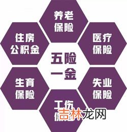 五险是哪五险,五险是哪五险一金