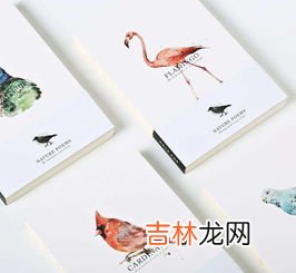 如何选择适合自己的手表型号查询网站,如何挑选合适自己的一款腕表?