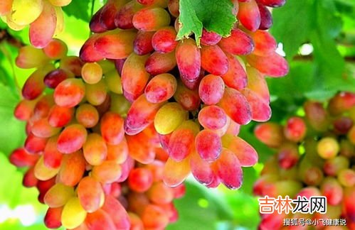 马奶葡萄的由来,马木提是个什么样的水果呢