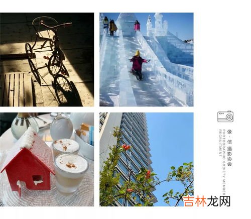 艺术与人生的关系,艺术与人生的格言