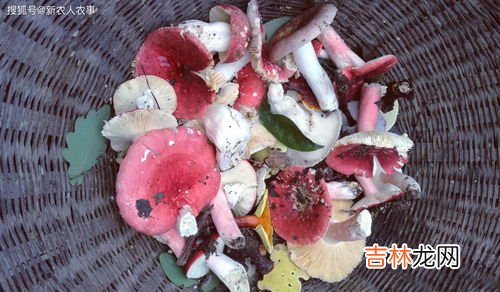 蘑菇变黑了还能吃吗,蘑菇放冰箱变黑能吃吗