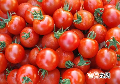 没熟的青西红柿能吃吗,还没有熟的青西红柿，你觉得真的可以吃吗？为什么？