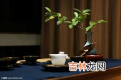 茶的由来简介,茶的来历 茶的起源