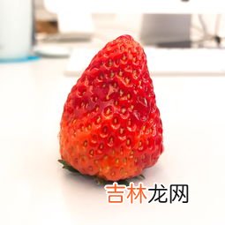 草莓什么季节上市,草莓什么季节成熟 大面积上市季节是几月