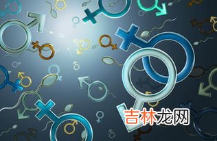 补精子一天该吃几个生蚝,生蚝一次吃几个最好？生蚝一天吃几个好？